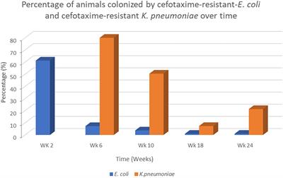 Changes in Fecal Carriage of Extended-Spectrum β-Lactamase Producing Enterobacterales in Dutch Veal Calves by Clonal Spread of Klebsiella pneumoniae